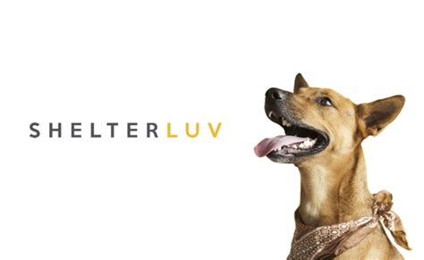 shelter luv|shelterluv vs petstablished.